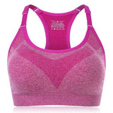 Shockproof Wire Free Sport Bra