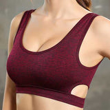 Women Fitness Elastic Breathable Sports Bra Yoga Vest