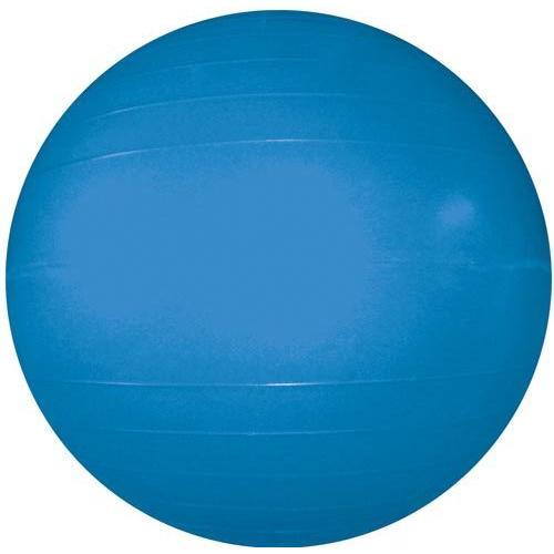 Therapy/Exercise Ball - 55cm/22" Dia. (Blue)